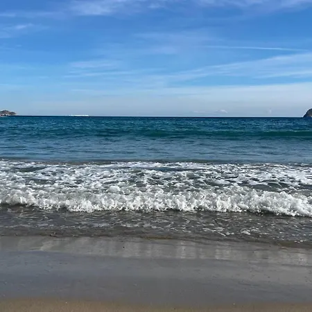 公寓 Elegance 阿利坎特