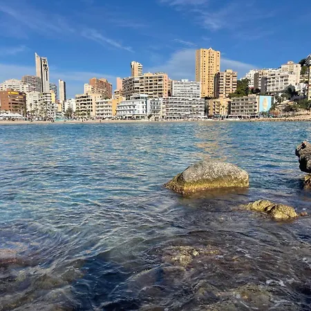 Elegance * 阿利坎特